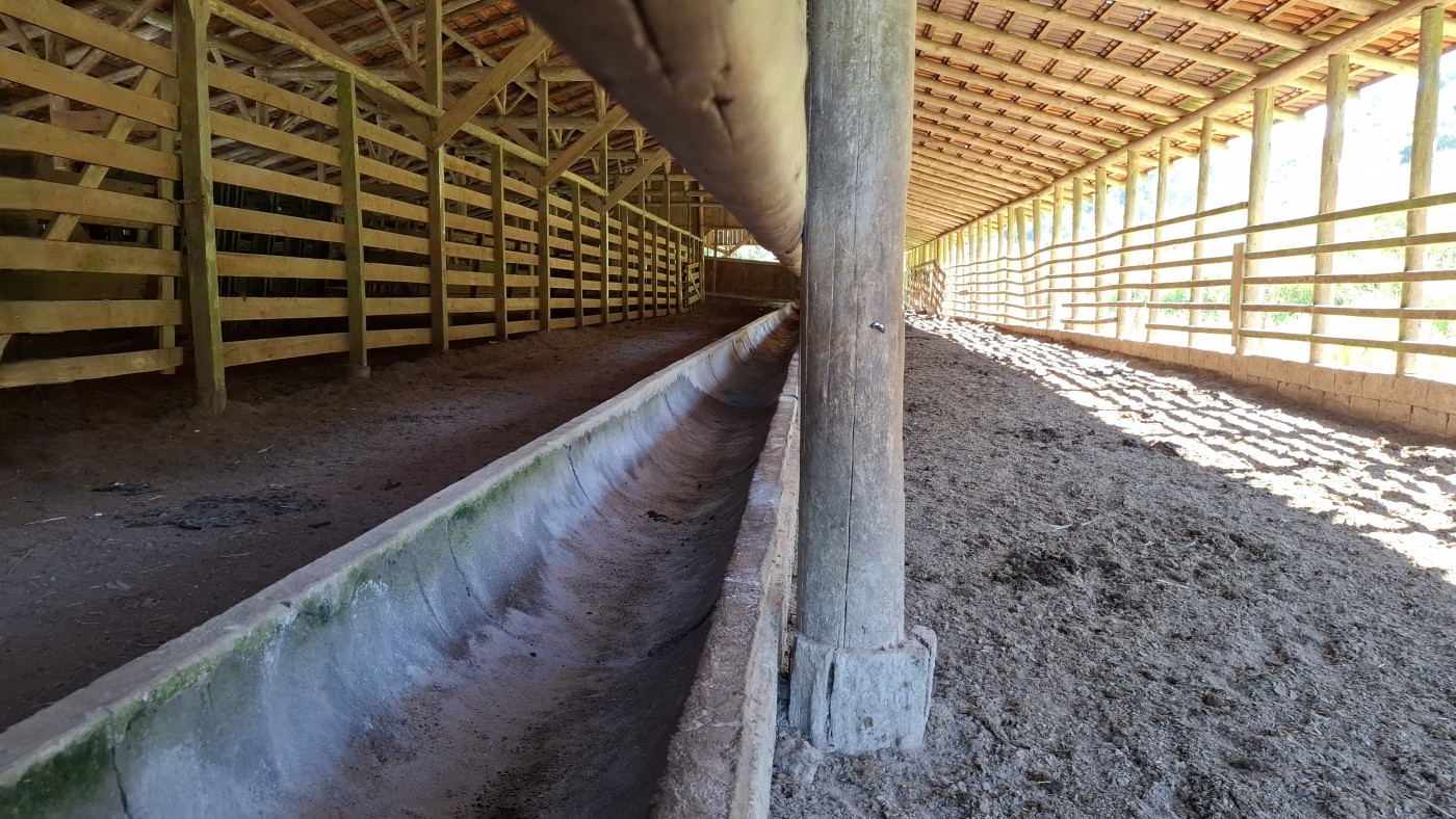 Fazenda, 16 hectares - Foto 12