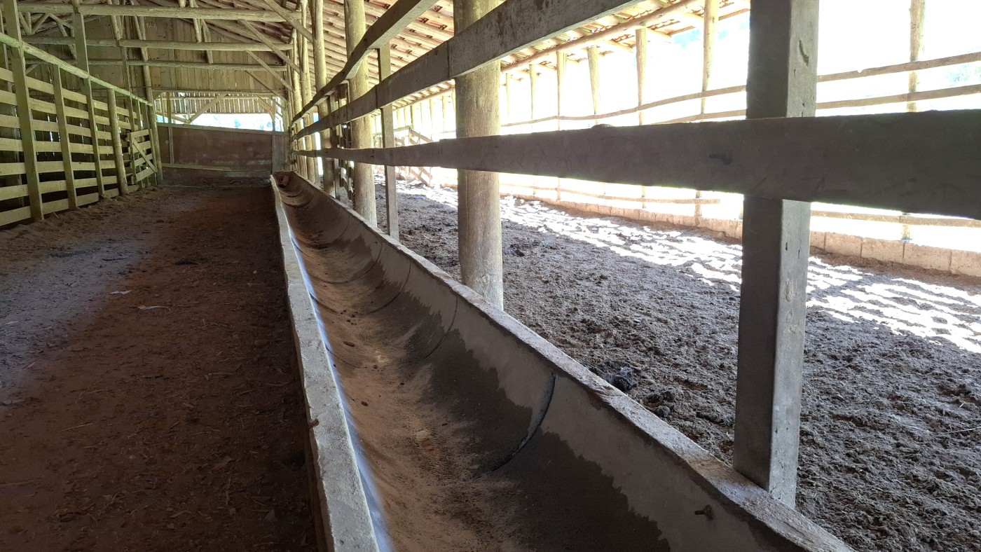 Fazenda, 16 hectares - Foto 15