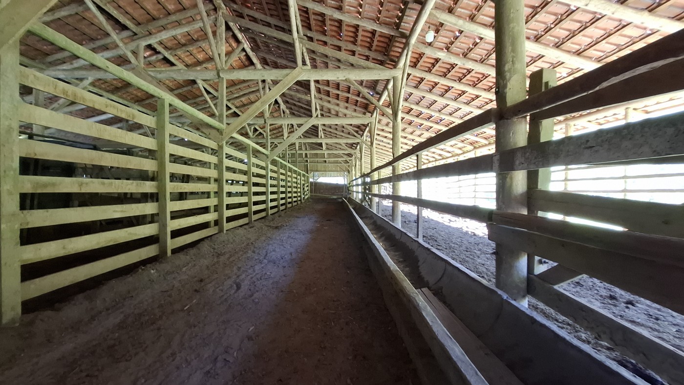 Fazenda, 16 hectares - Foto 14