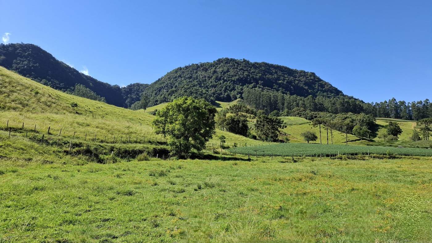 Fazenda, 16 hectares - Foto 30