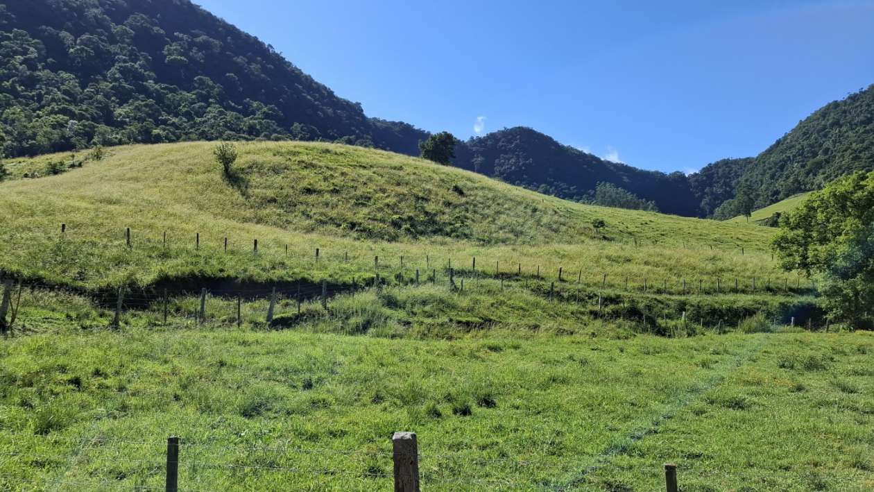 Fazenda, 16 hectares - Foto 31