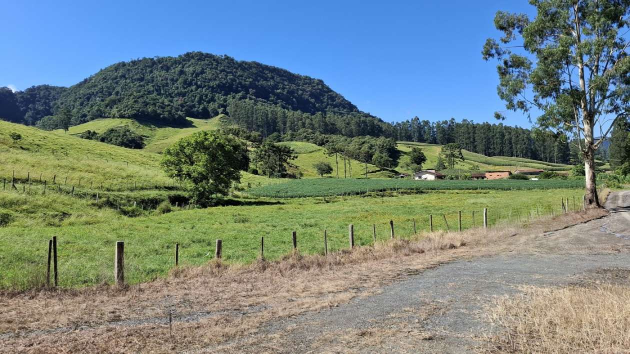 Fazenda, 16 hectares - Foto 33