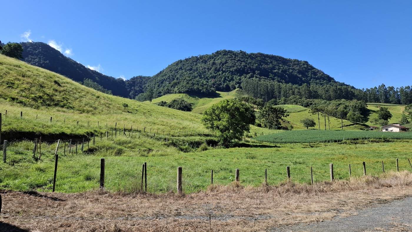 Fazenda, 16 hectares - Foto 34