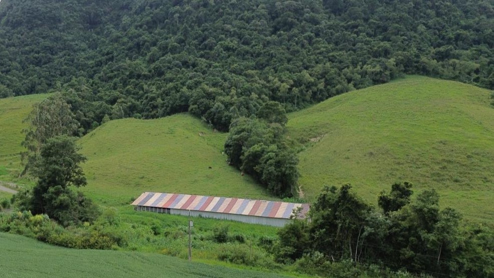 Fazenda, 16 hectares - Foto 37