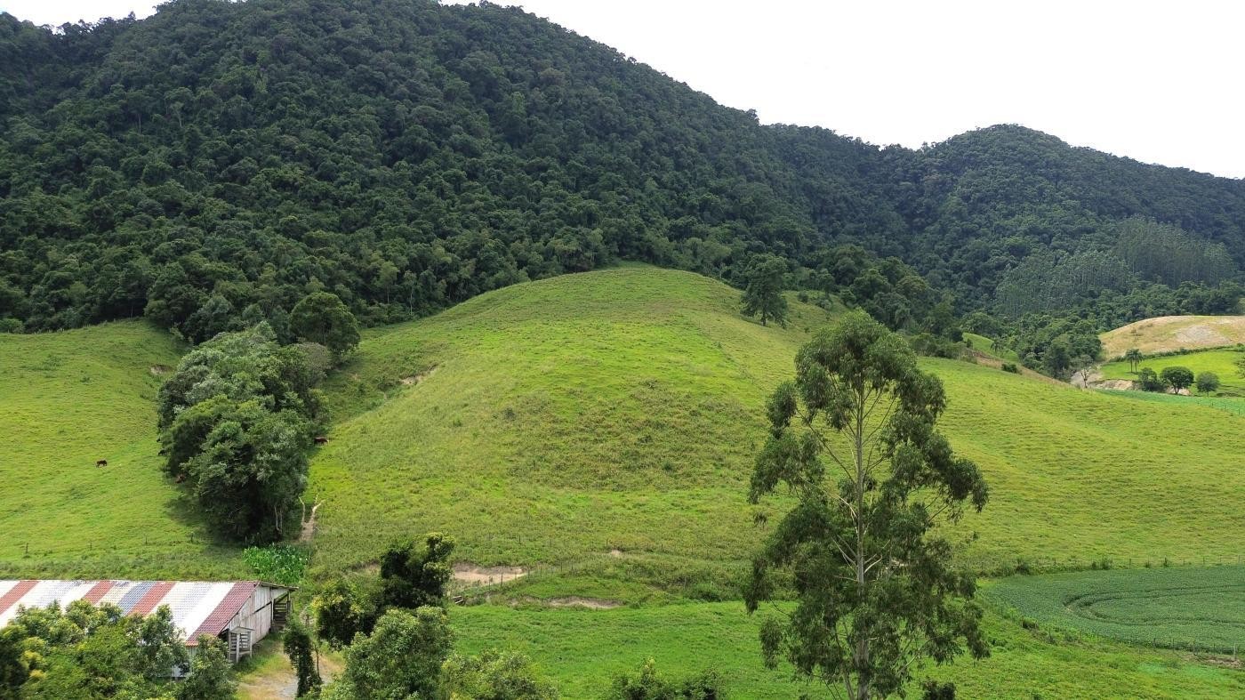 Fazenda, 16 hectares - Foto 41