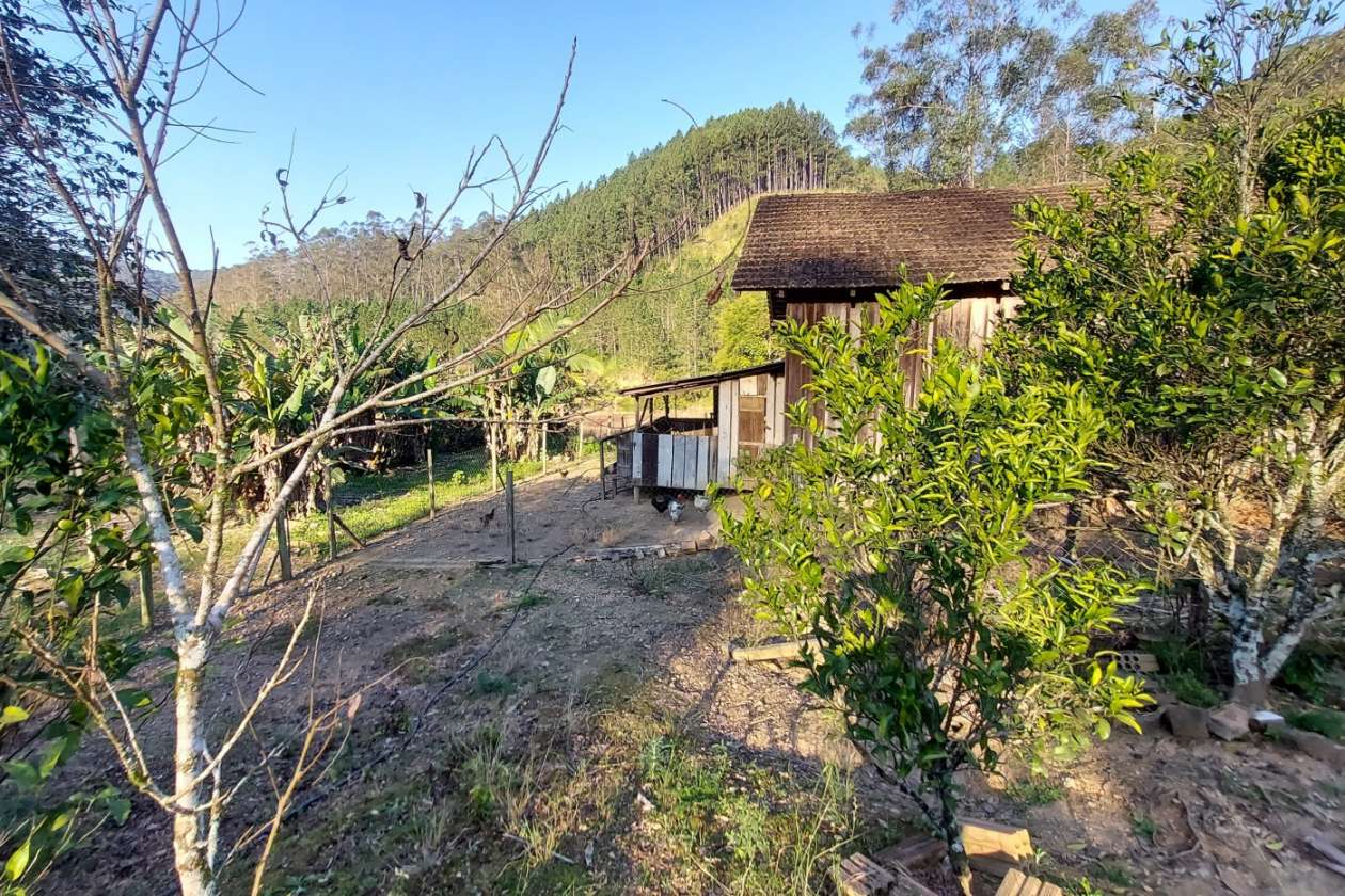 Sítio, 3 quartos, 2 hectares - Foto 11