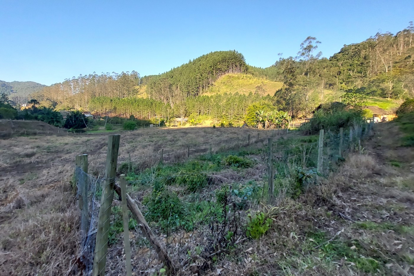 Sítio, 3 quartos, 2 hectares - Foto 12