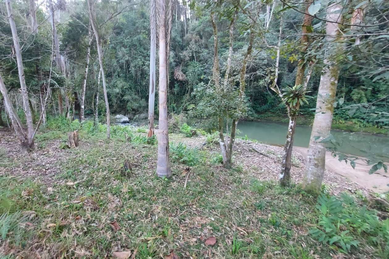 Sítio, 3 quartos, 2 hectares - Foto 19