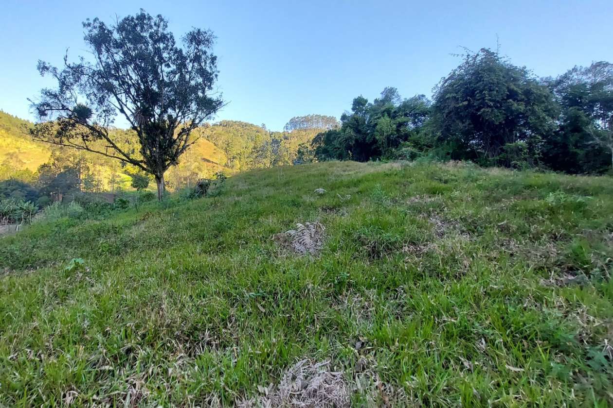 Sítio, 3 quartos, 2 hectares - Foto 28