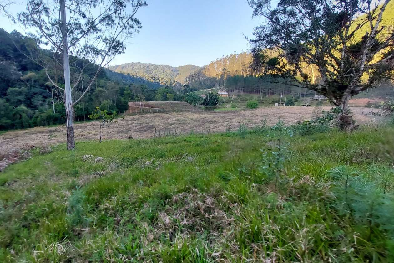 Sítio, 3 quartos, 2 hectares - Foto 29