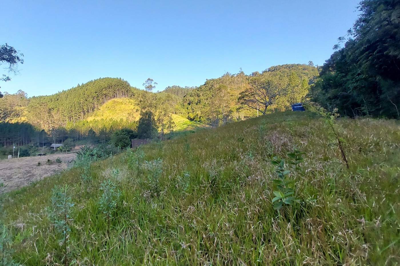 Sítio, 3 quartos, 2 hectares - Foto 30