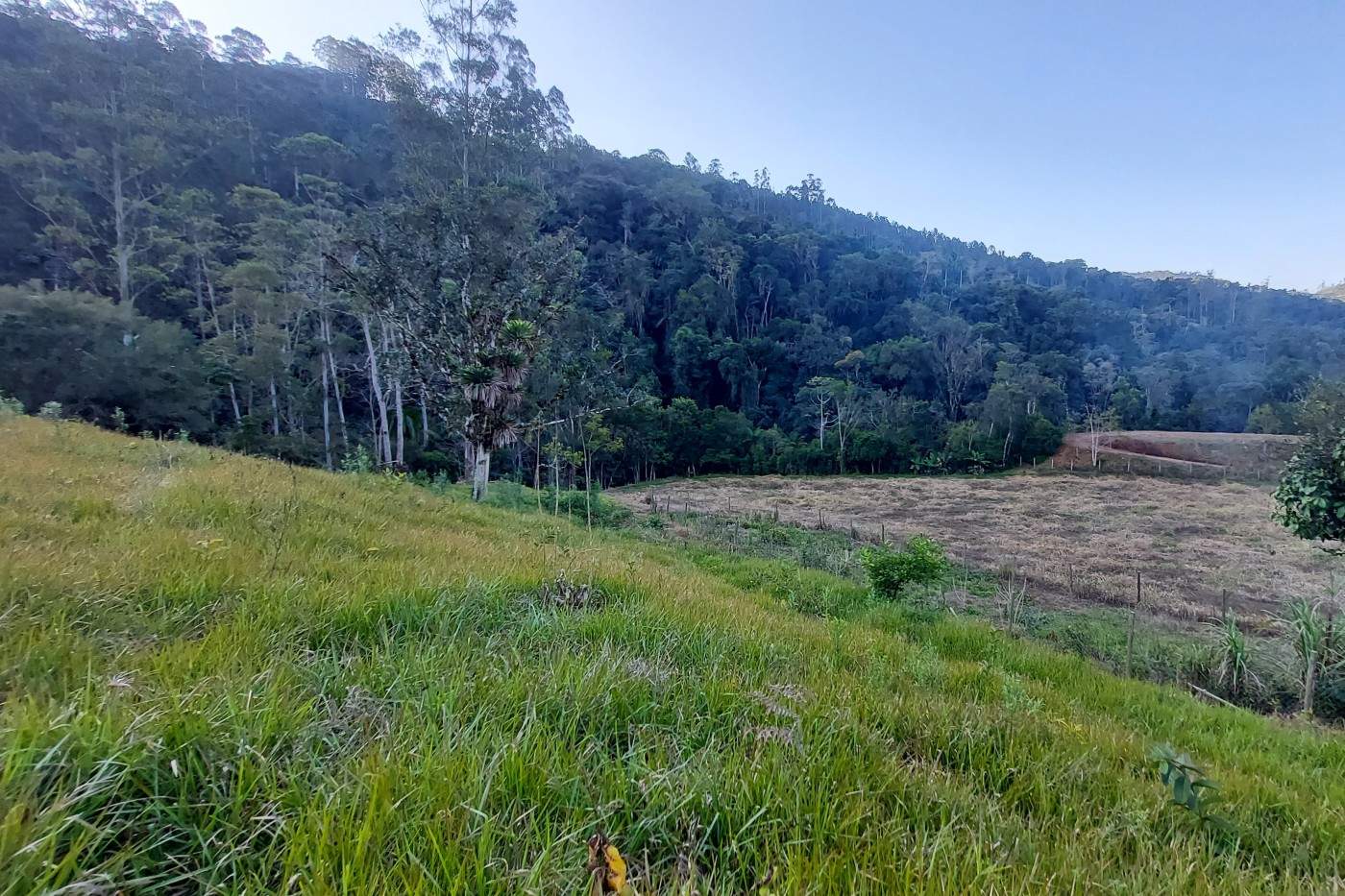 Sítio, 3 quartos, 2 hectares - Foto 33