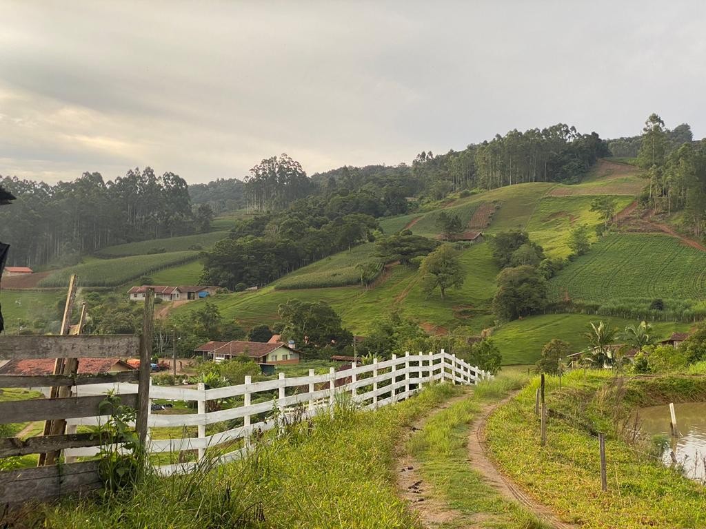 Fazenda, 4 hectares - Foto 7