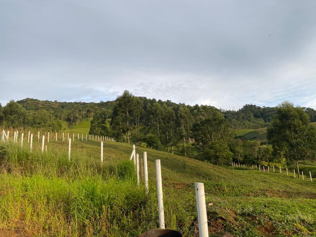Fazenda, 4 hectares - Foto 6
