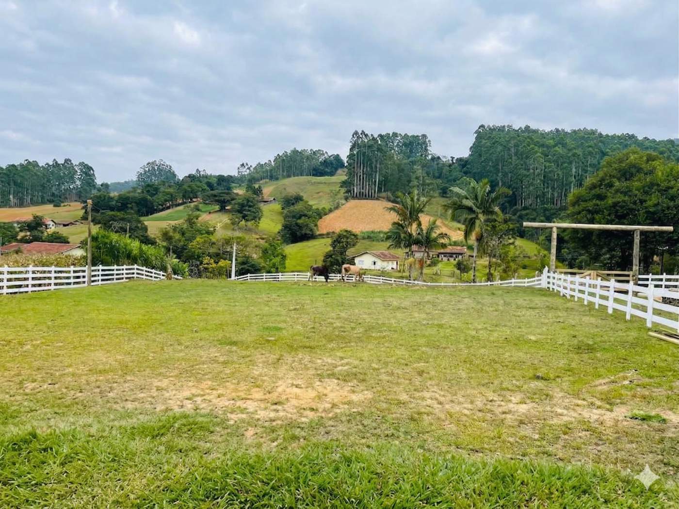Fazenda, 4 hectares - Foto 3