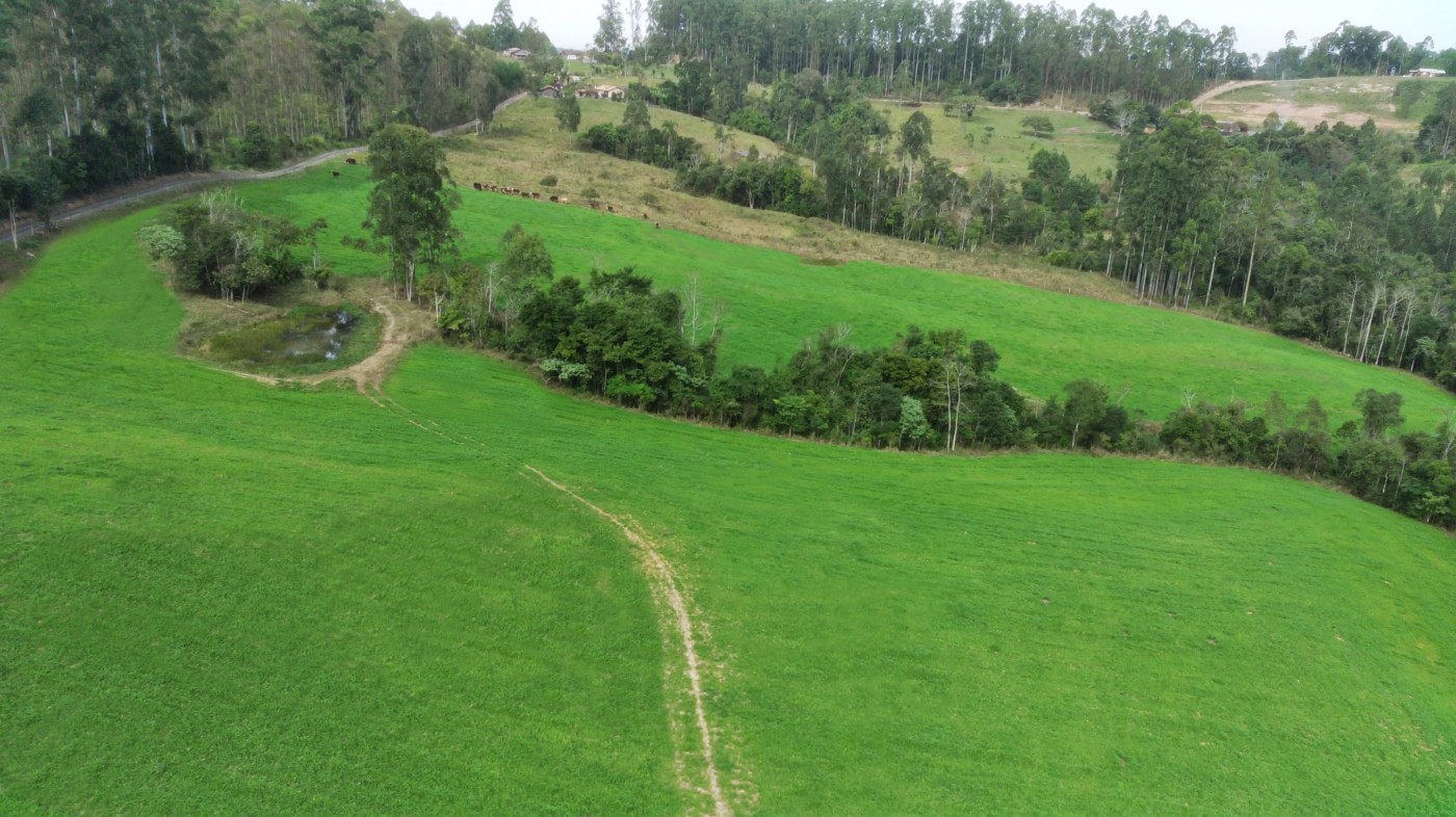 Fazenda, 21 hectares - Foto 9