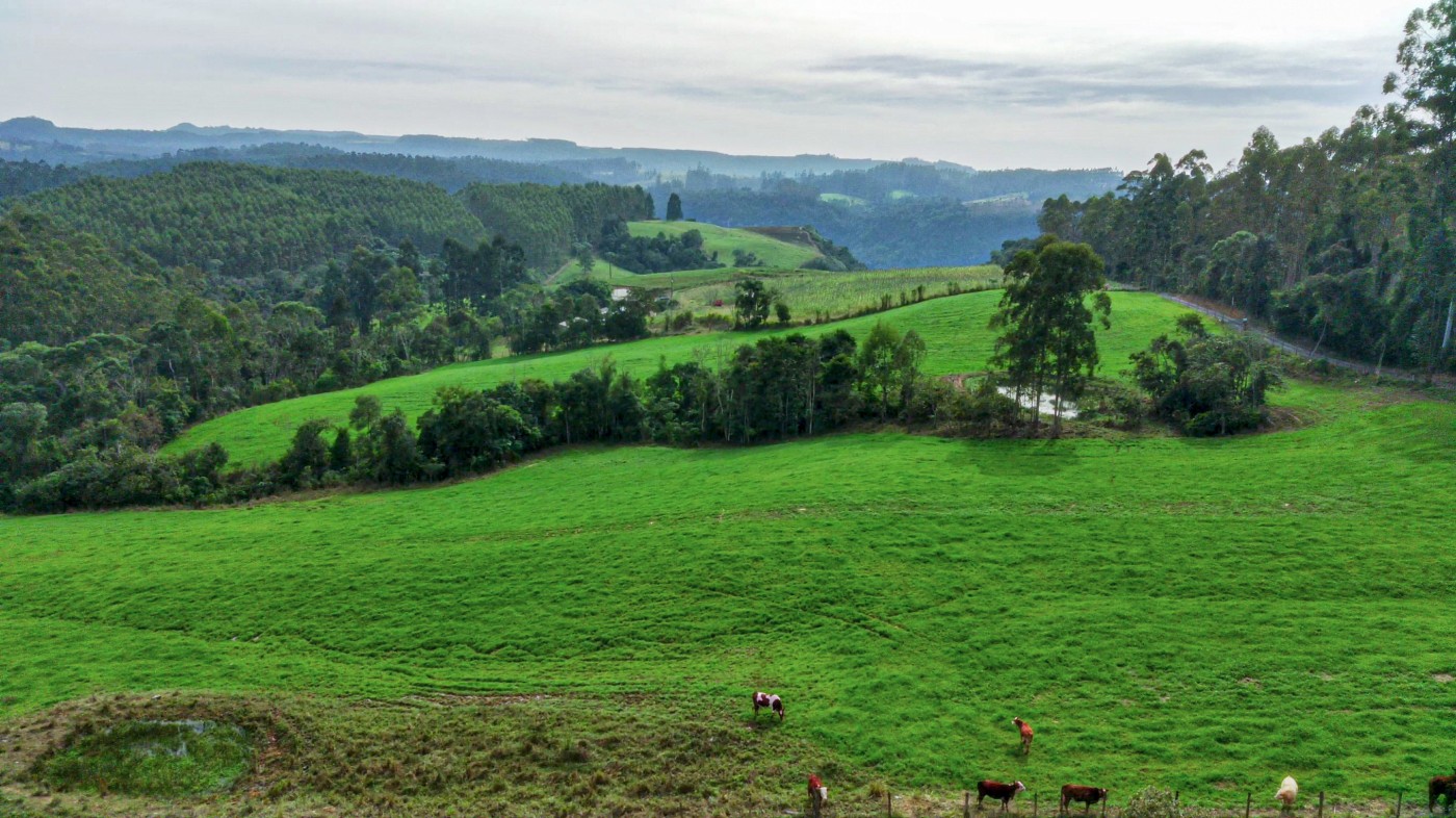 Fazenda, 21 hectares - Foto 10