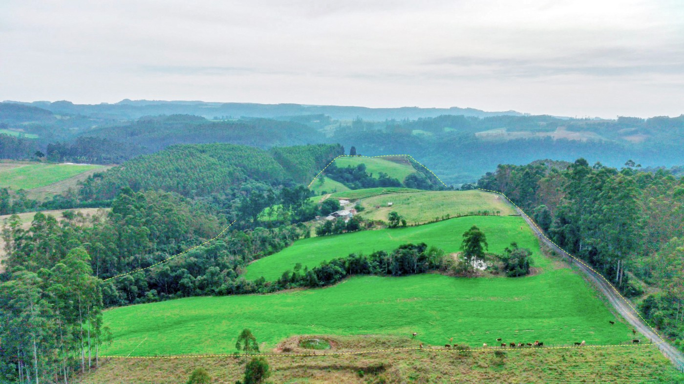 Fazenda, 21 hectares - Foto 11