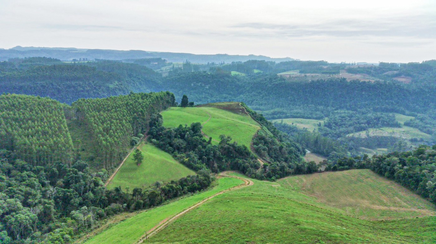 Fazenda, 21 hectares - Foto 13