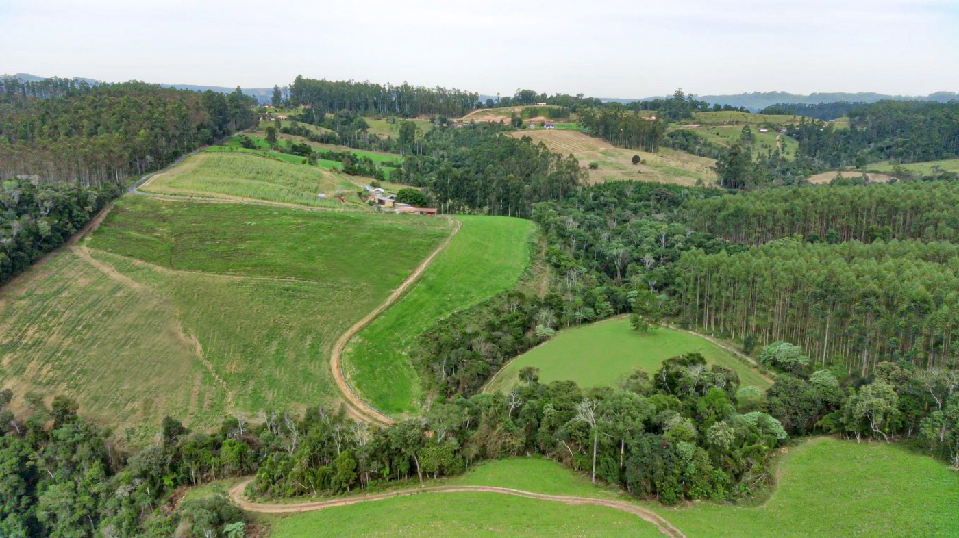 Fazenda, 21 hectares - Foto 15