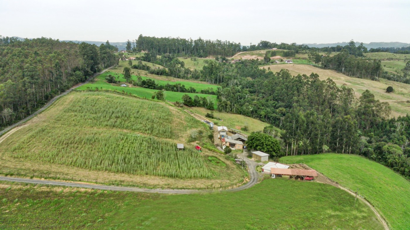 Fazenda, 21 hectares - Foto 16