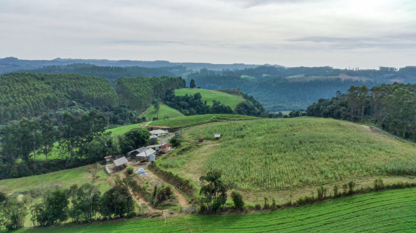 Fazenda, 21 hectares - Foto 17