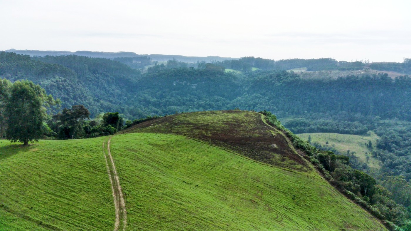 Fazenda, 21 hectares - Foto 18
