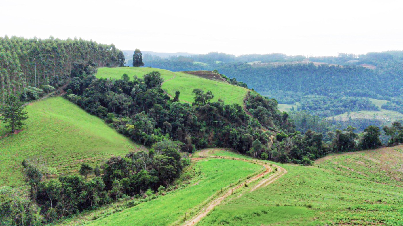 Fazenda, 21 hectares - Foto 24