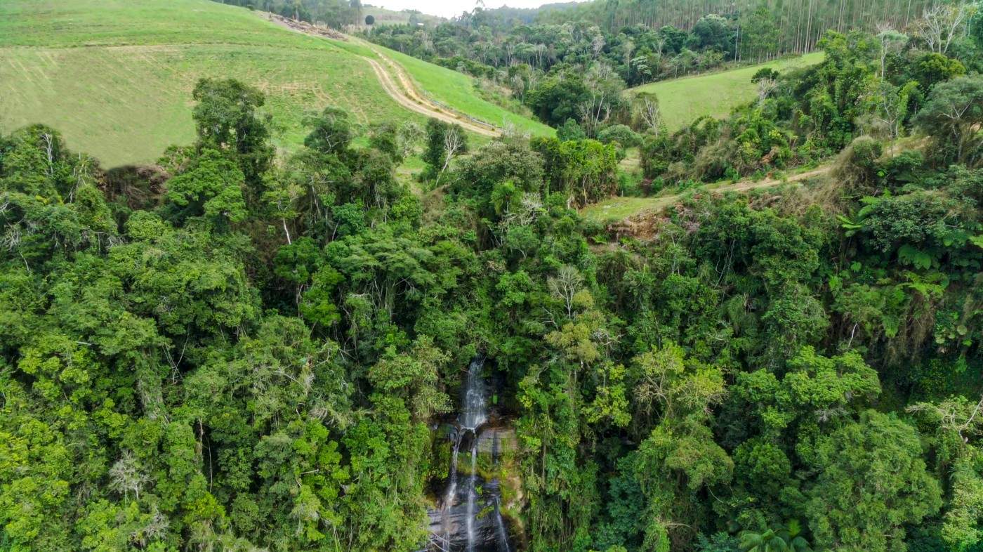 Fazenda, 21 hectares - Foto 25