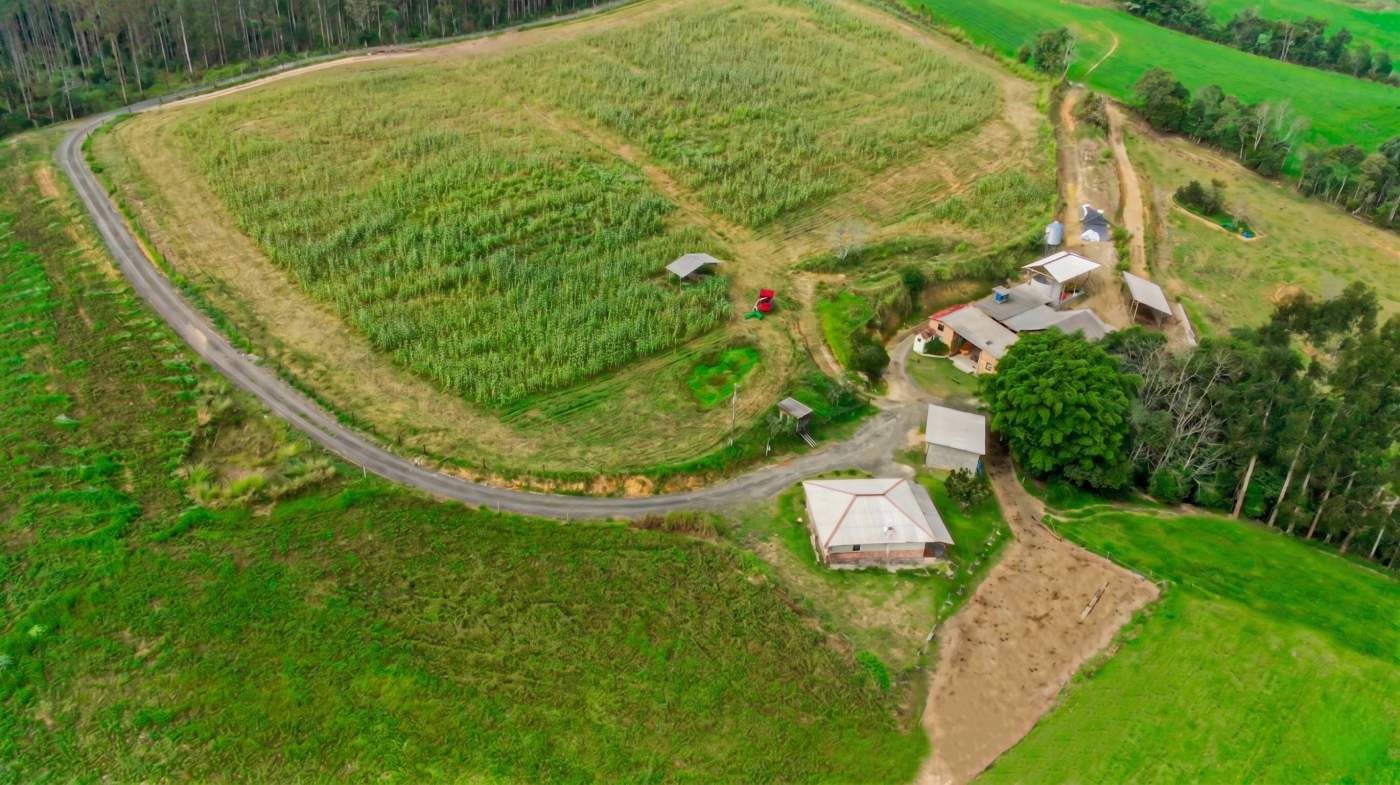 Fazenda, 21 hectares - Foto 26