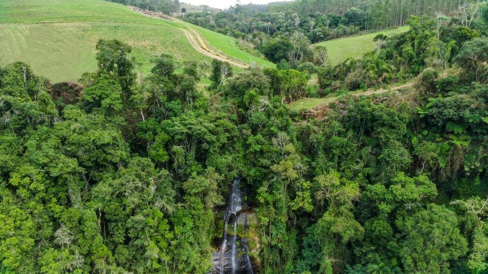 Fazenda, 21 hectares - Foto 42