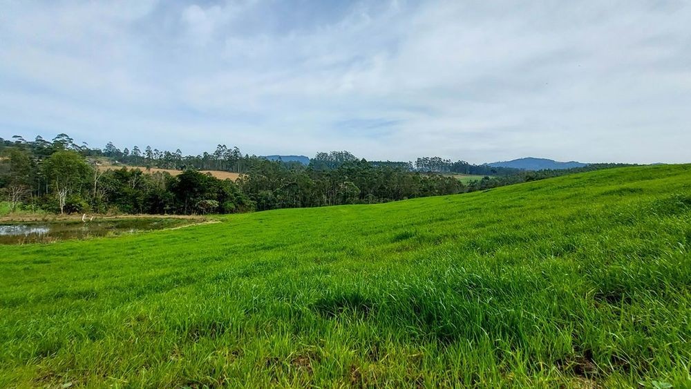 Fazenda, 21 hectares - Foto 44