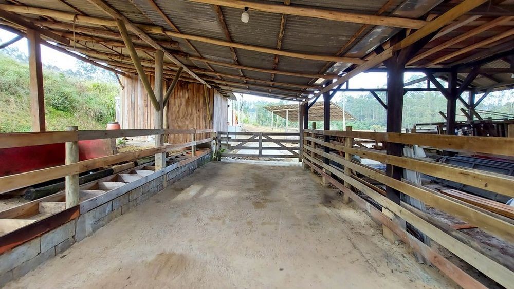 Fazenda, 21 hectares - Foto 39