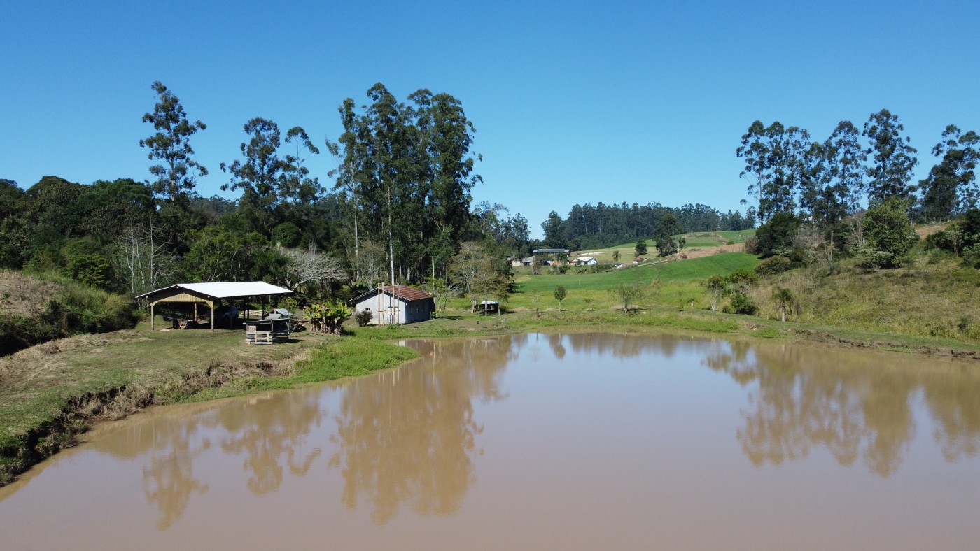 Sítio, 3 quartos, 3 hectares - Foto 13