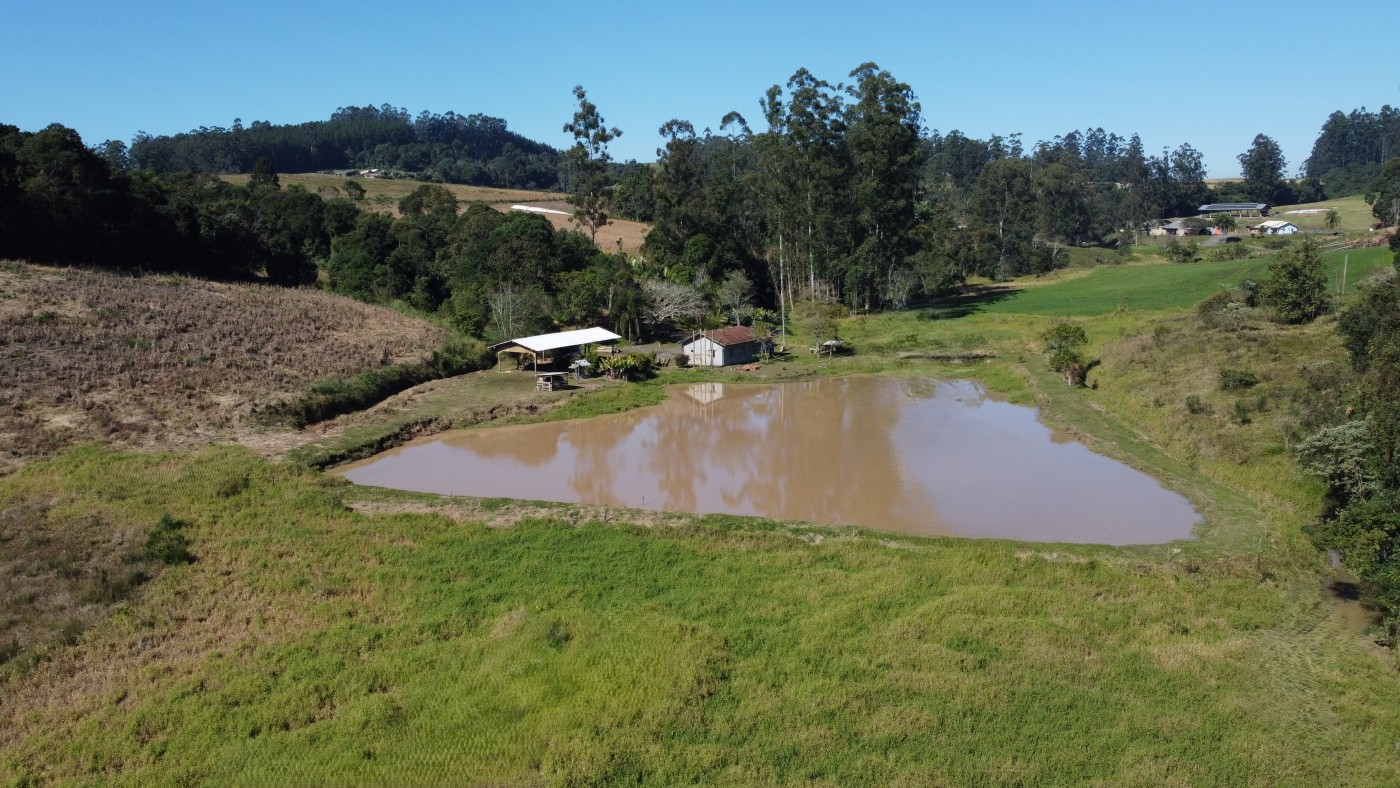 Sítio, 3 quartos, 3 hectares - Foto 14