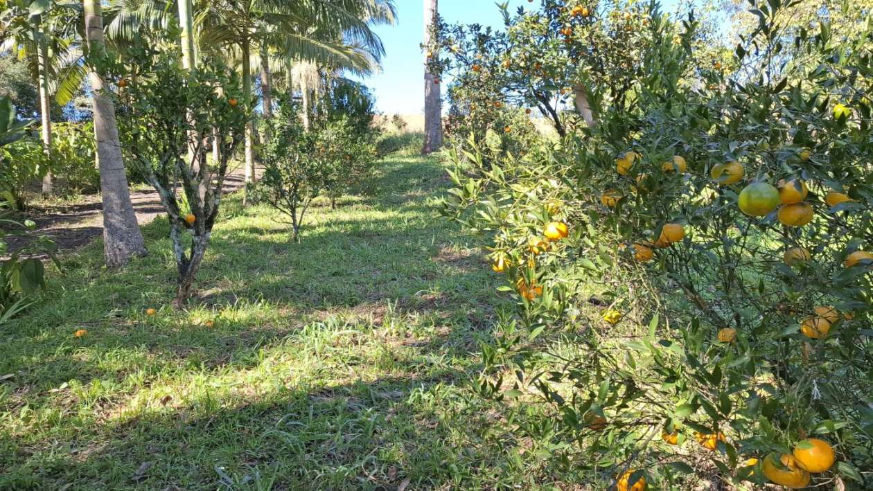 Sítio, 3 quartos, 3 hectares - Foto 26