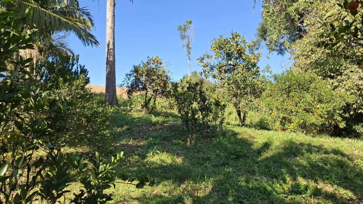 Sítio, 3 quartos, 3 hectares - Foto 27