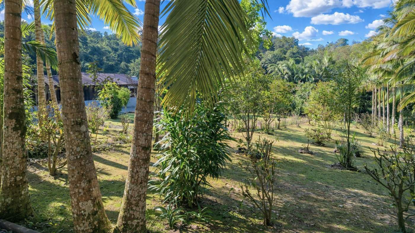 Sítio, 2 quartos, 2 hectares - Foto 34