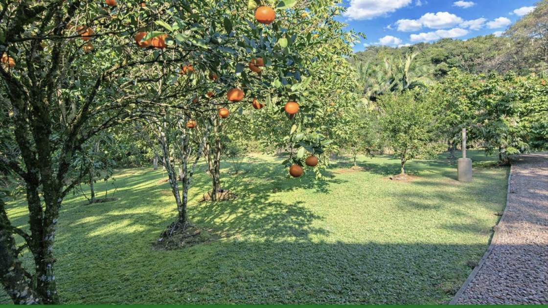 Sítio, 2 quartos, 2 hectares - Foto 35