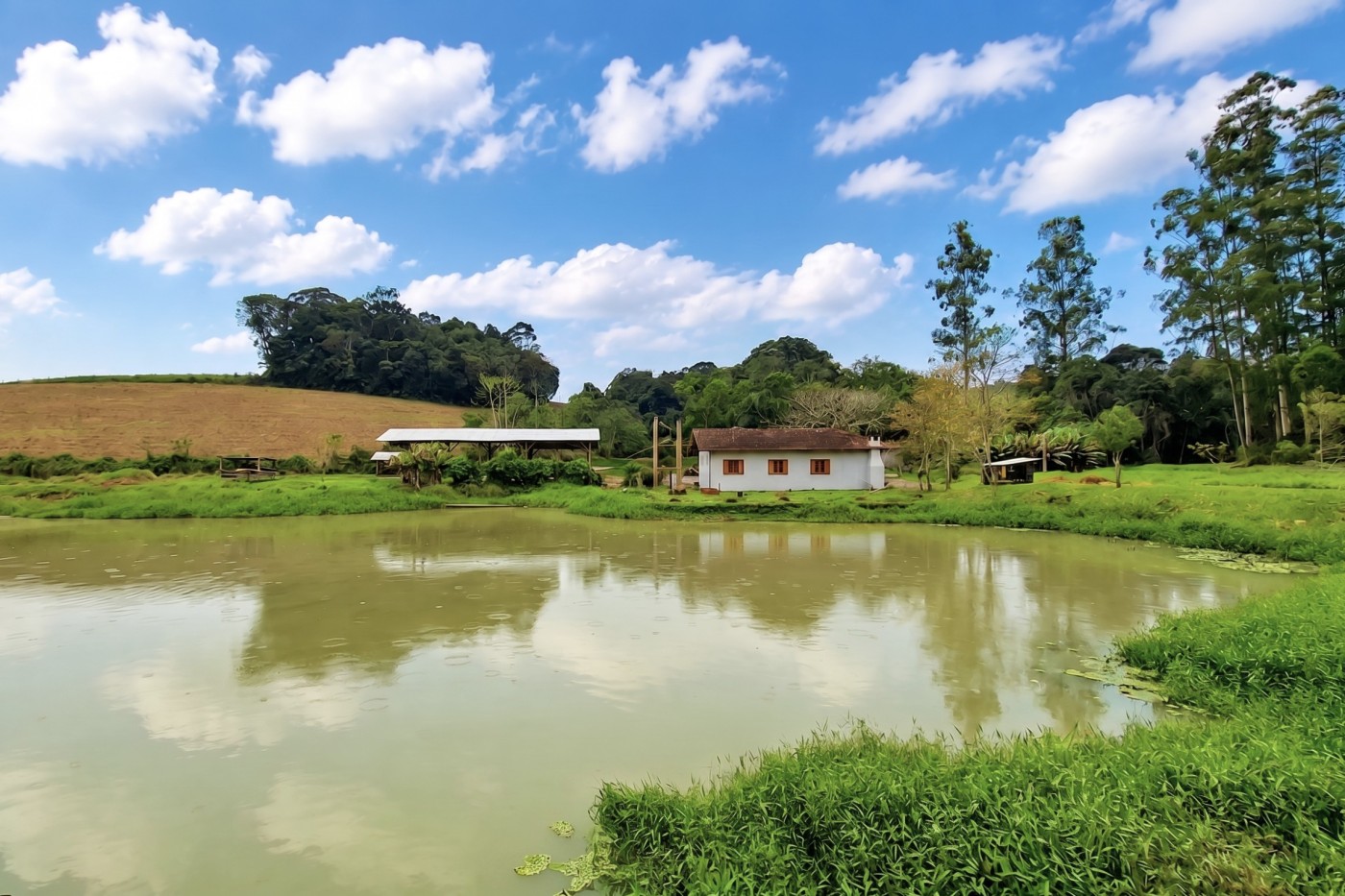 Sítio, 3 quartos, 3 hectares - Foto 1
