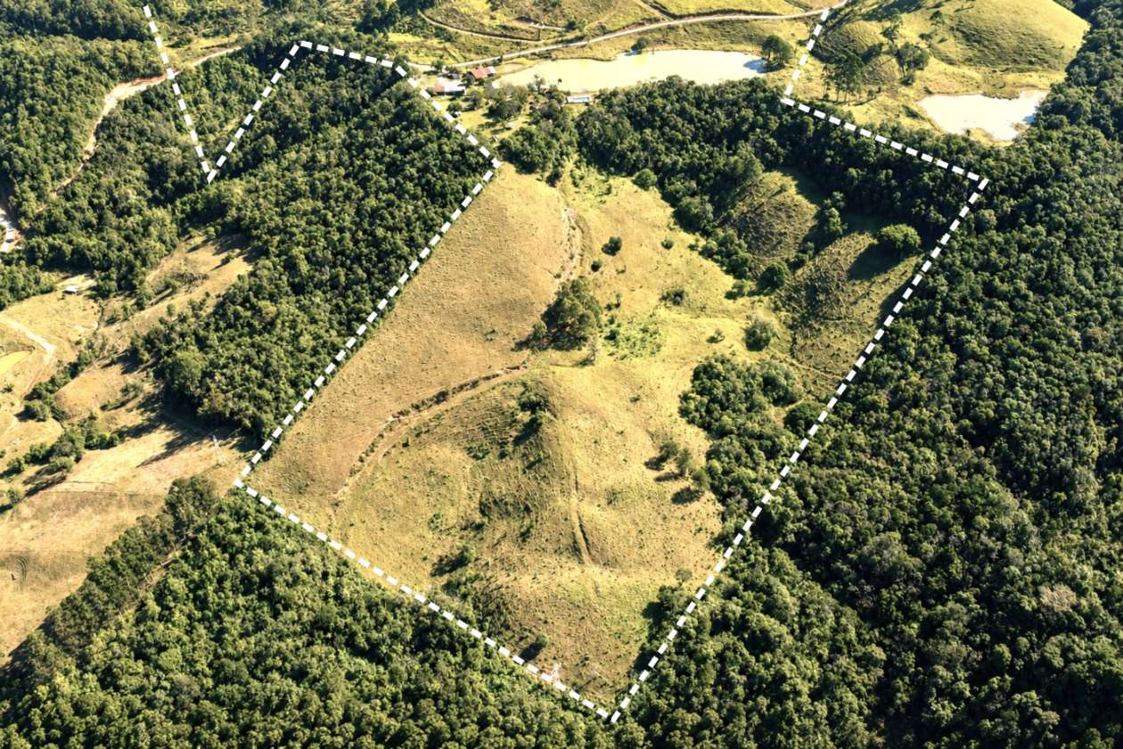 Fazenda, 85 hectares - Foto 40