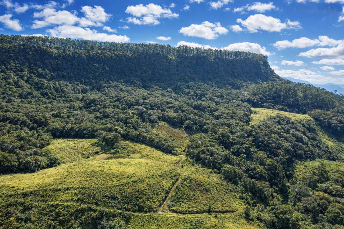 Fazenda, 85 hectares - Foto 20