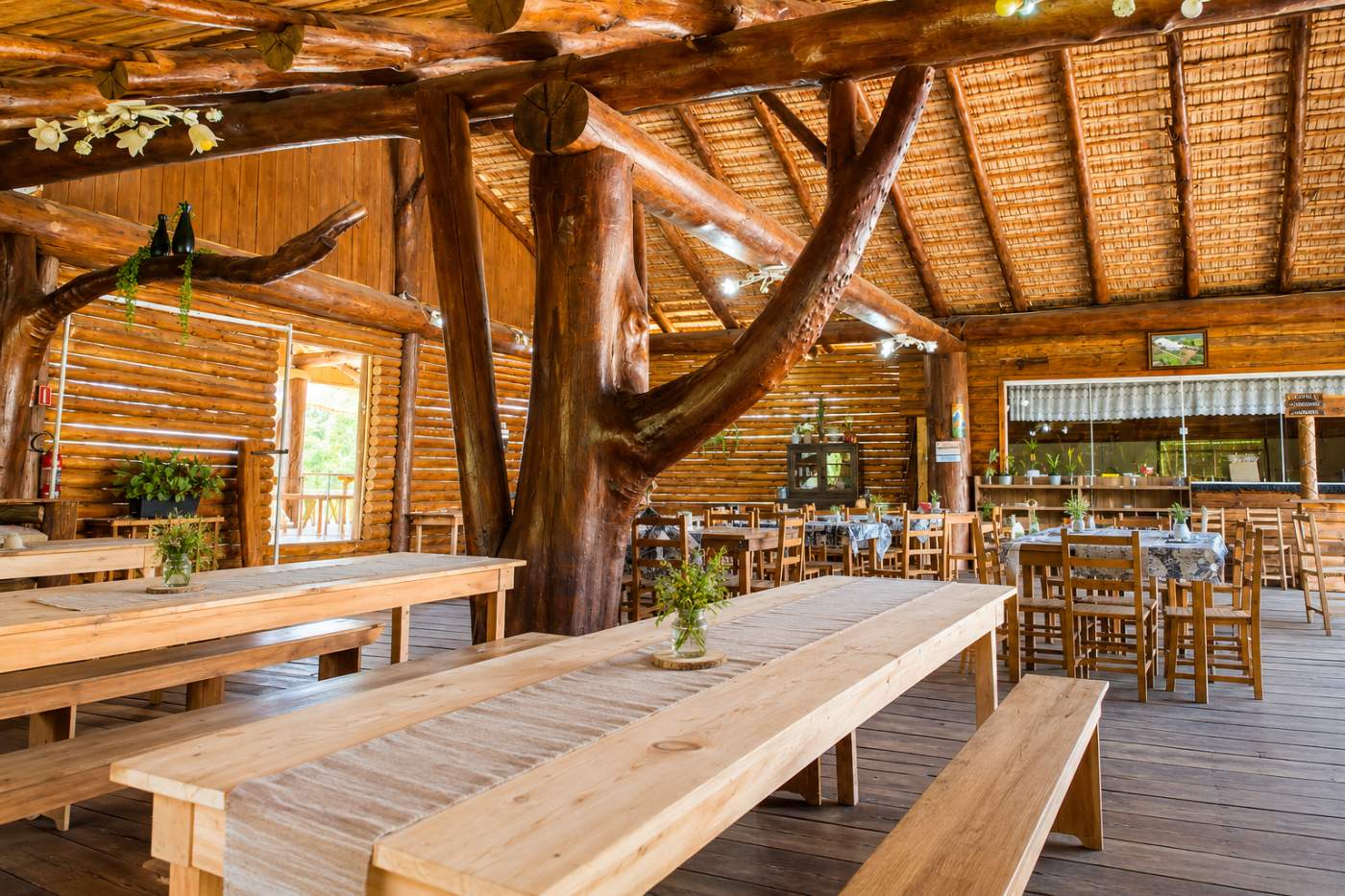 Fazenda, 85 hectares - Foto 3