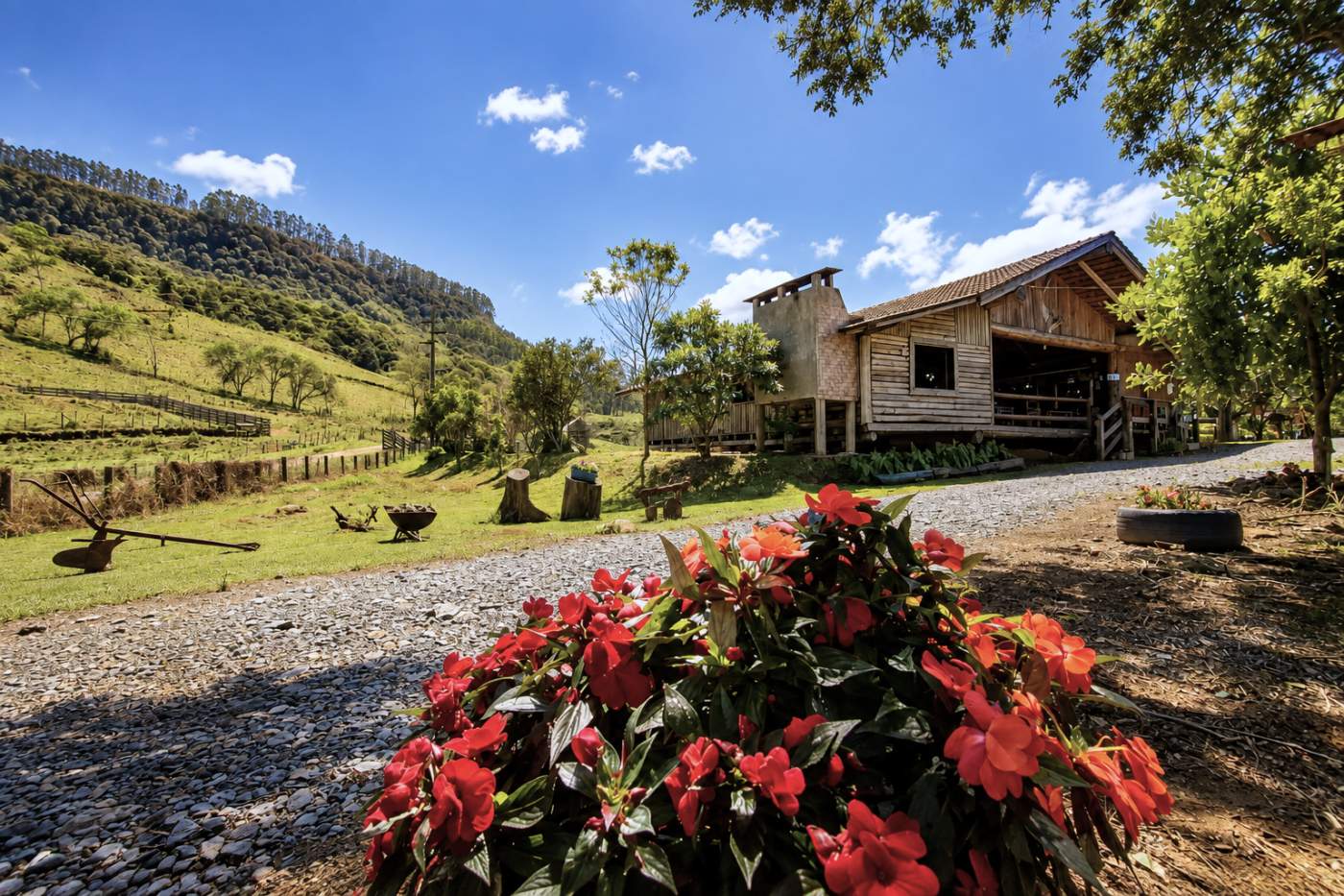 Fazenda, 85 hectares - Foto 14