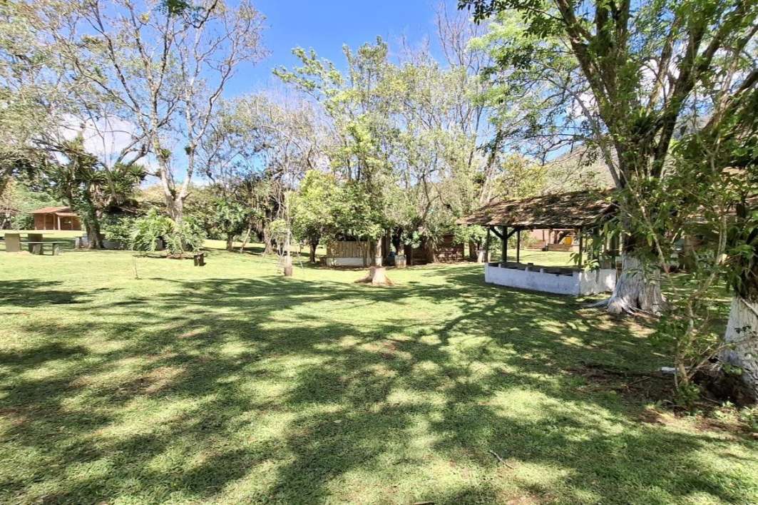 Fazenda, 85 hectares - Foto 18