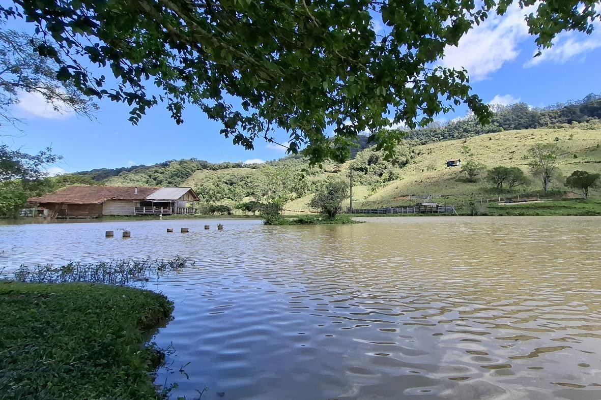 Fazenda, 85 hectares - Foto 17