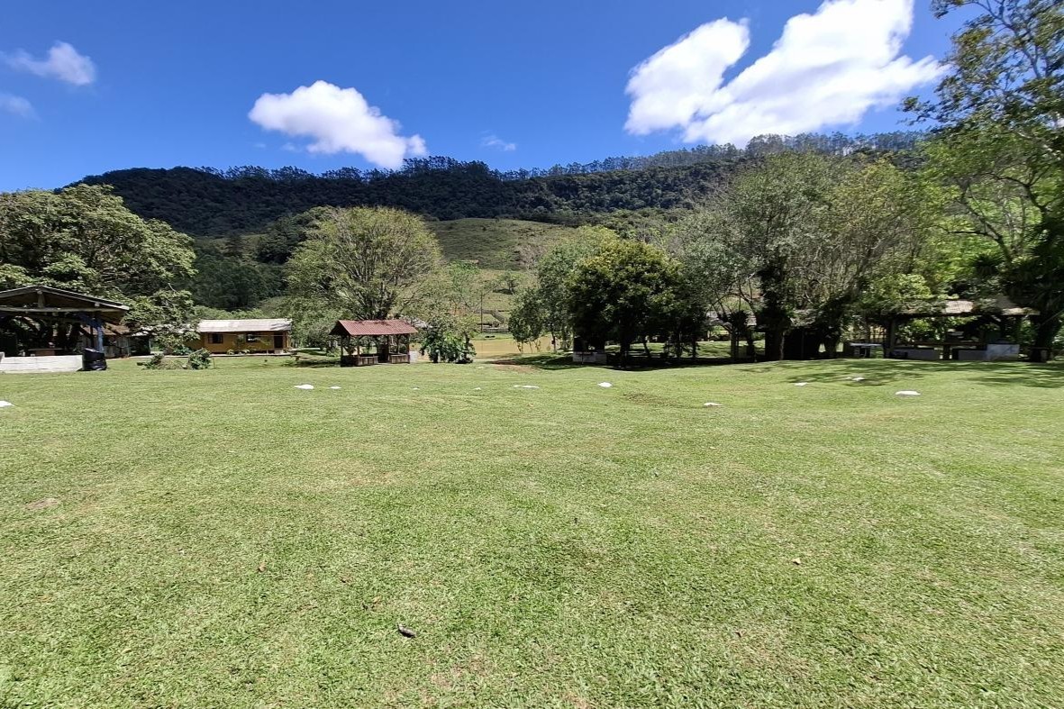 Fazenda, 85 hectares - Foto 23