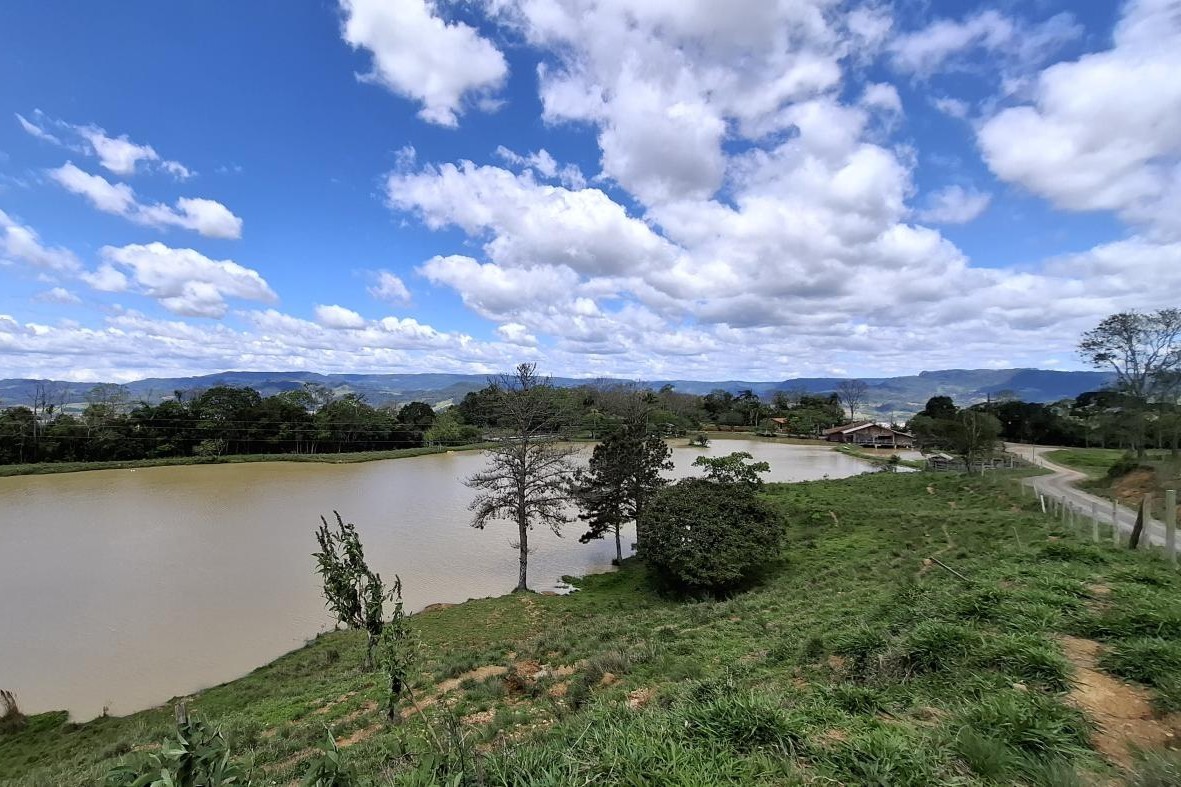 Fazenda, 85 hectares - Foto 35