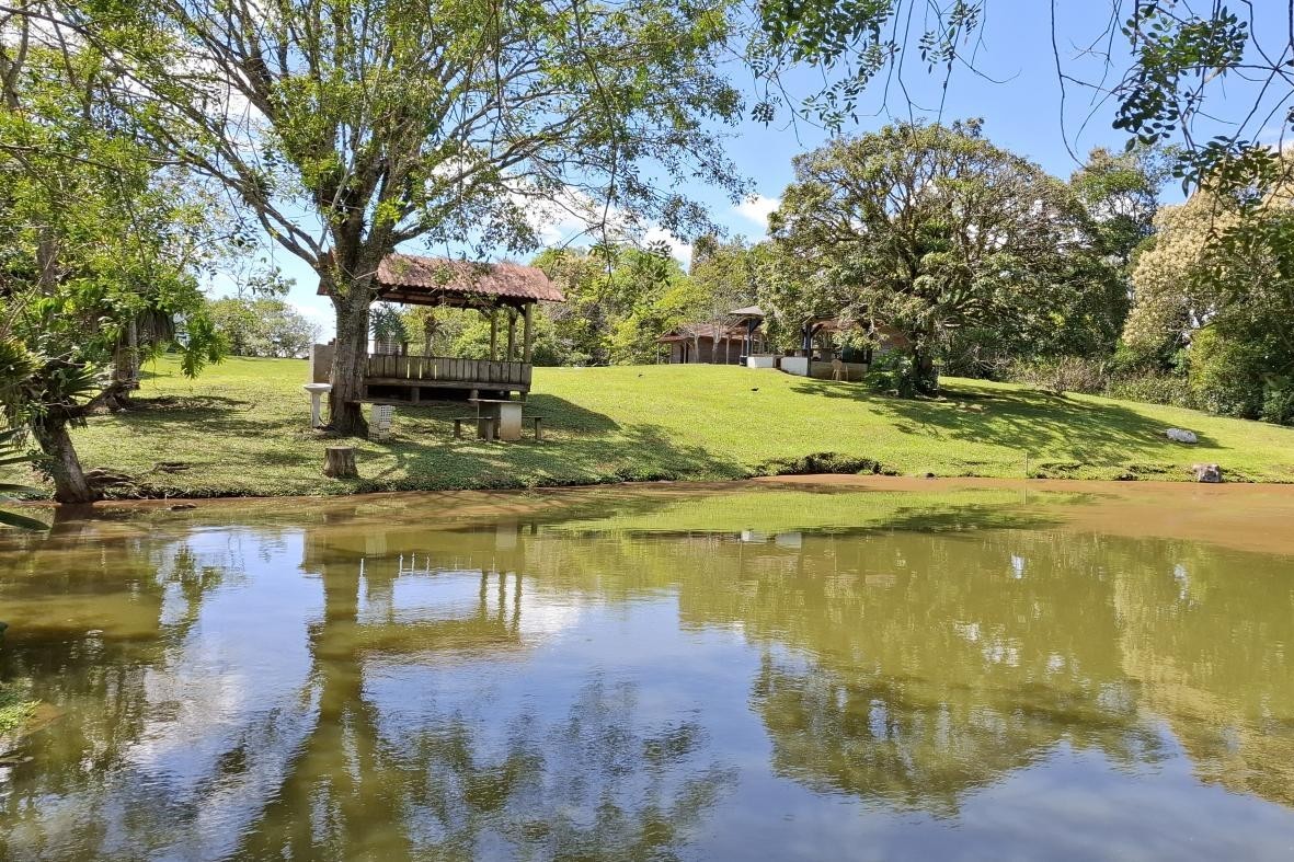 Fazenda, 85 hectares - Foto 29