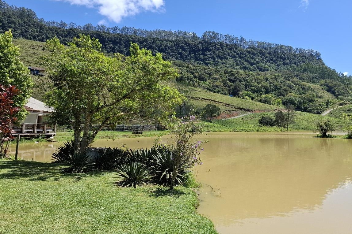 Fazenda, 85 hectares - Foto 36
